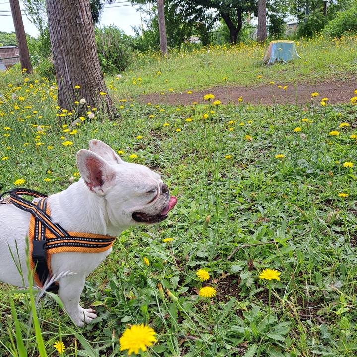 D366ce1e 446c 4b1d 9874 7cb8fb01a306 1716848766467