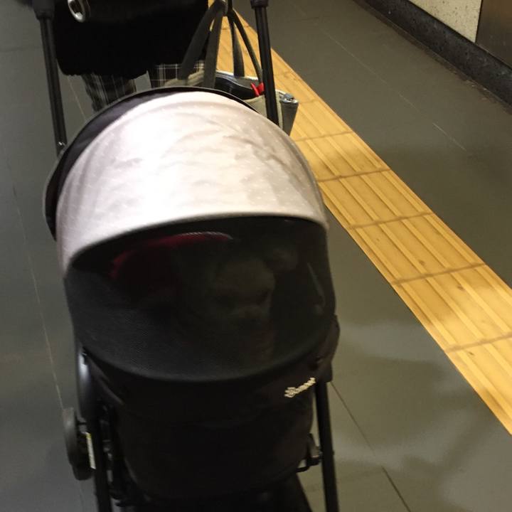 D366d486 2d28 4e71 8714 187783c53e22 1517565957031