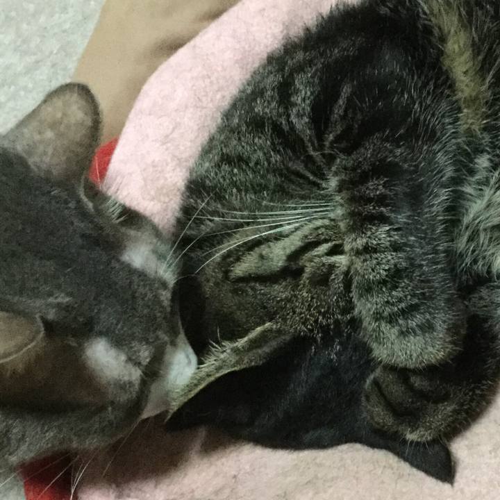 D366e72d b074 4804 add2 b29152aadf56 1570535555375