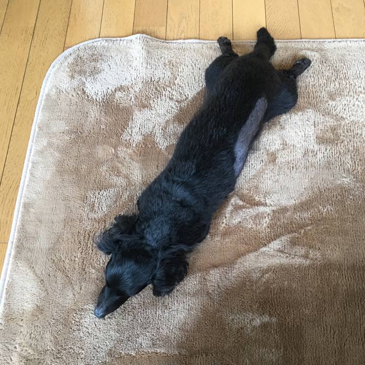 D36701c4 684f 46df 9e05 0afebac88077 1512256331090