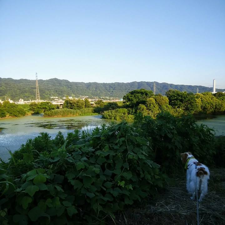 D3670a0d 2502 4a7d 907a 4e134b4a702b 1565264438008