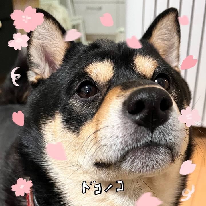 D3675282 f76c 44e7 815b 0508fe352dda 1744359215241