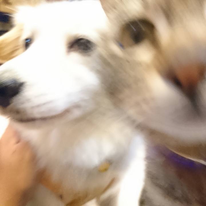 D367574f 94a8 4f8b 8eda 2943368af831 1708746366875