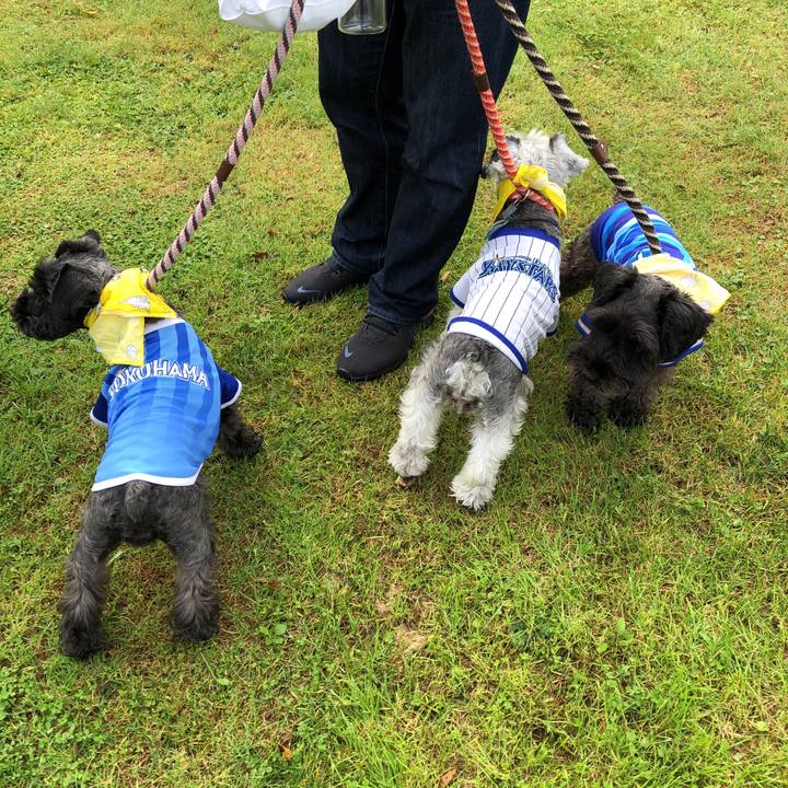 D3677d3c 5b9d 431c b60e f86f652b7467 1572138005547