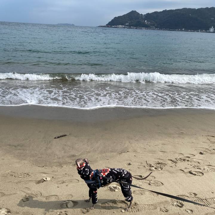 D3679945 1521 49fa 9701 90891743ccf1 1771222297721