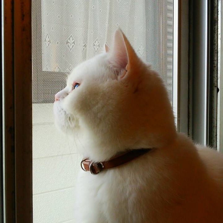 D367c03f 528d 4fa6 b872 5e13a96457b4 1520203866485