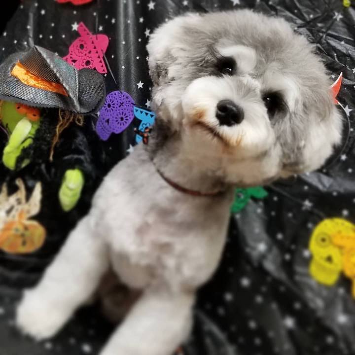 D367e82d 4dd2 4b02 a1f7 2fe488dd9038 1603897610800