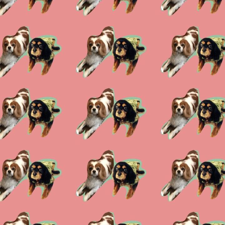 D367fe8d fbb4 4635 a00d a5cdd20ae9cc 1532602506032