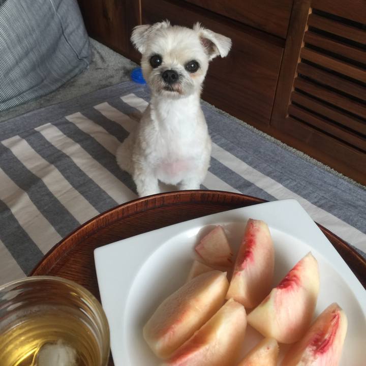 D3680120 cba3 46ce 8d20 79eeb9e47c06 1532244517983