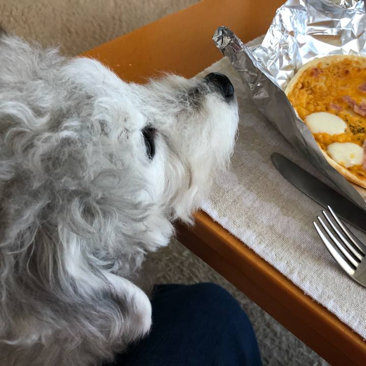 D3680840 c666 452c b885 13ea0d648613 1587782095103