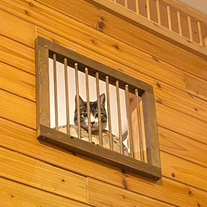 D3682fc2 133a 4a26 ab05 f4d792055d29 1707124674258