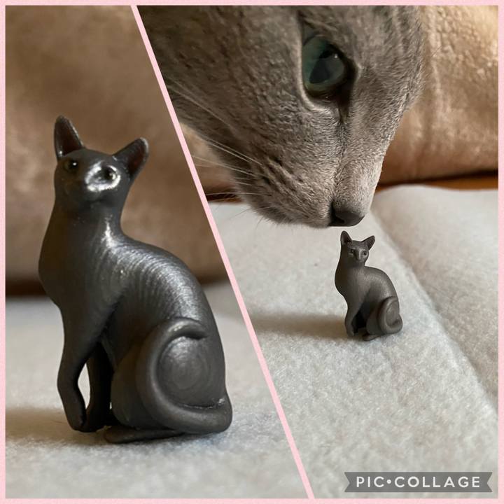 D3685936 c215 4383 9b20 2c1ab0b269a9 1680264461452