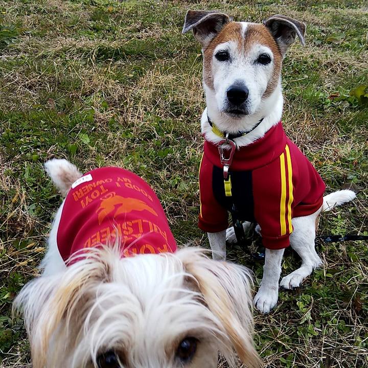 D36862d5 78e2 4401 a1b4 b9178668da0c 1546411616695