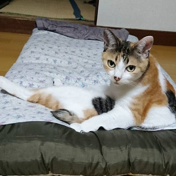 D3686b4b 6a72 4a69 a86c d5cea06112ac 1556701799475