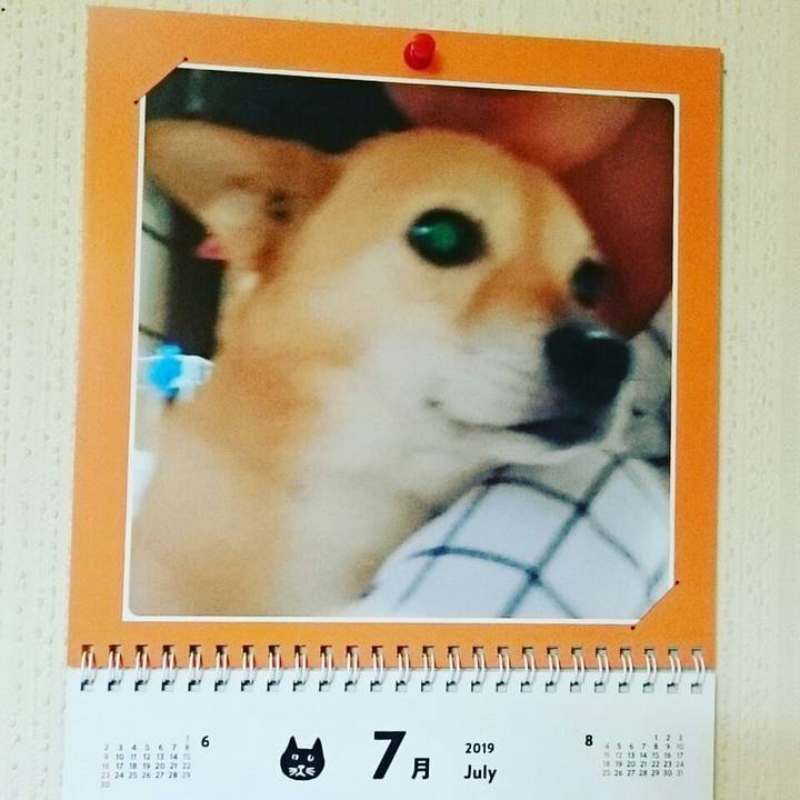 D3687f5c 8c48 49e1 bbdf 046152eb00dd 1561909605992