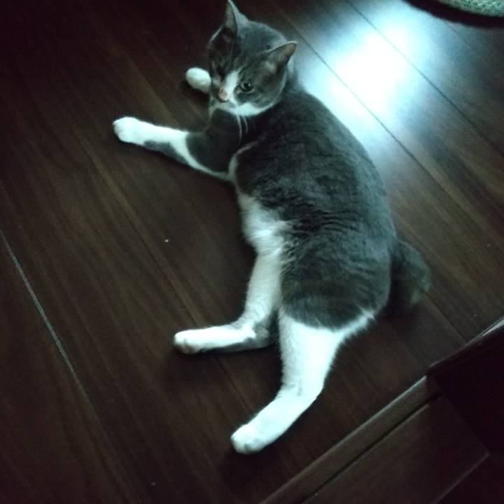 D3688bbc f8f8 4934 bf16 c7320ef39429 1627341116625