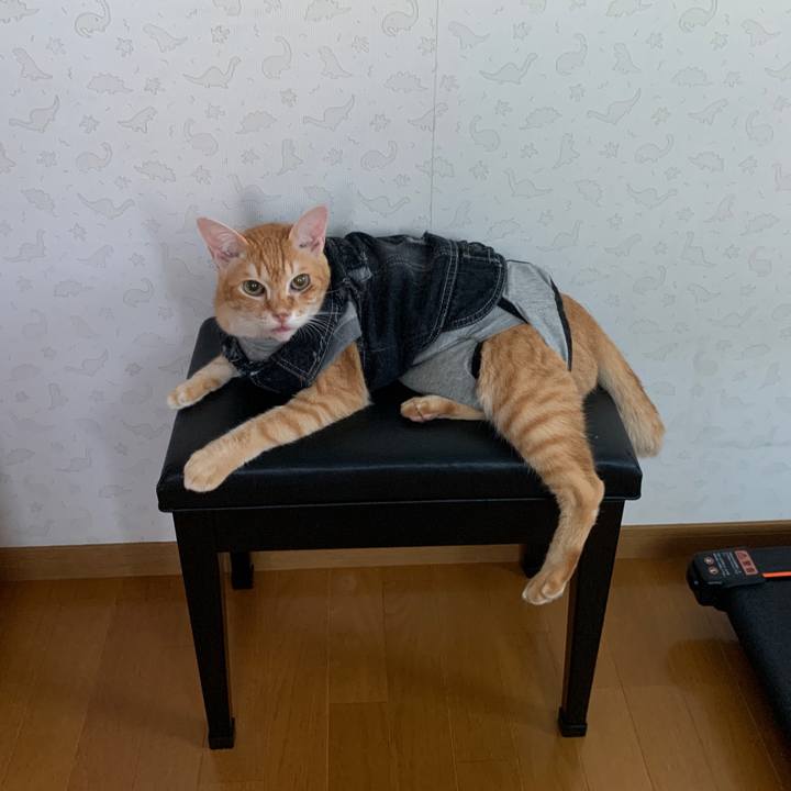 D368c1df 88ab 48bb 895a 09aa5ddcb7de 1658957807128