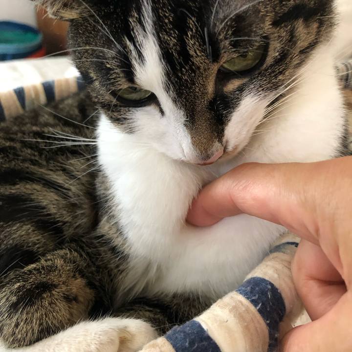 D368dbfa d1ae 4ec3 9e93 ce7e7ef2f0b8 1625312428955