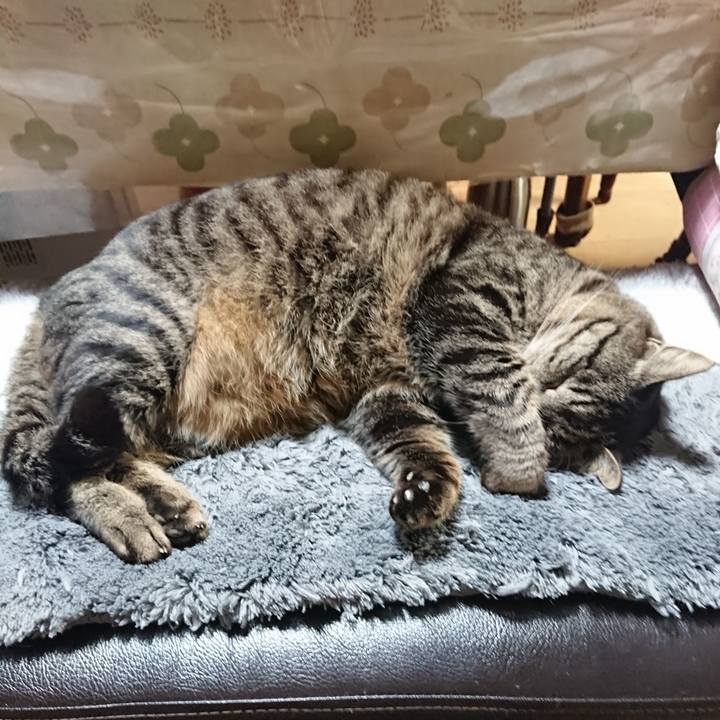 D368dc29 74c0 422d a0e7 b6418cf31908 1643806470295