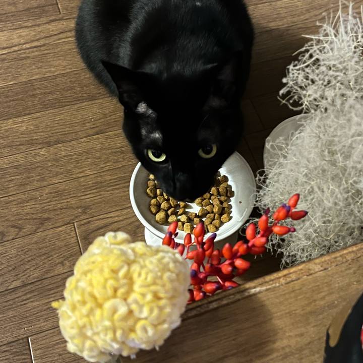 D368fcaa 5afc 43de 8998 58c76e92e66a 1754655154578