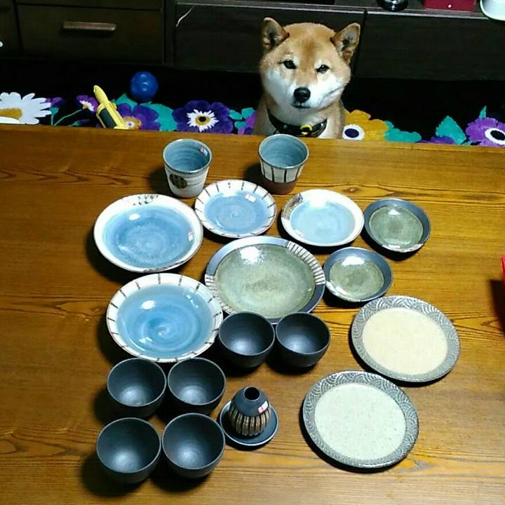 D3693696 09f4 4d9c bb1e 64bd8153cabe 1556532106809