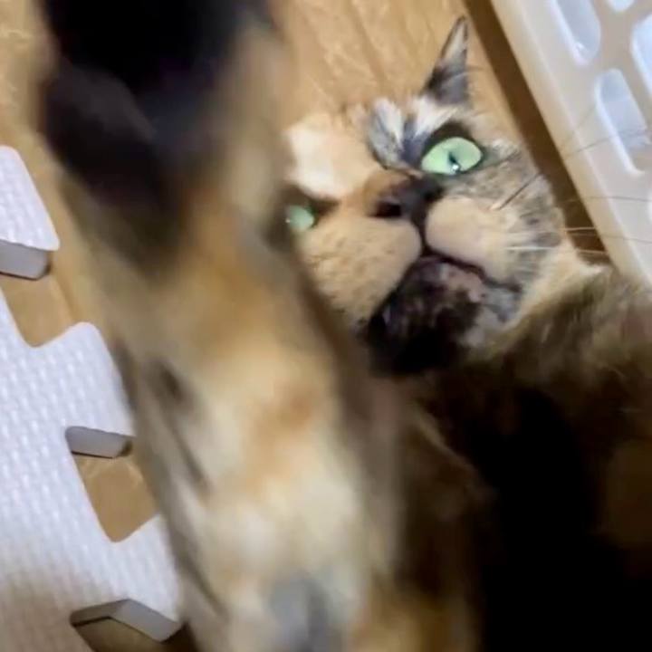 D369370b f5cd 4314 a083 5af2aafb40ce 1742936640717