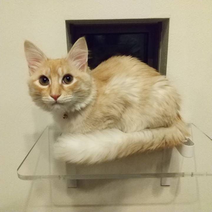 D3693bbb 9e23 43d7 8736 a3131f1e6370 1612267807453