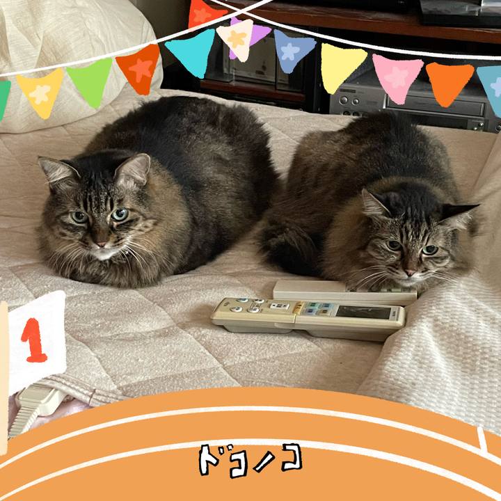 D3694d87 999b 4438 9e46 0b21a894522b 1761449527872