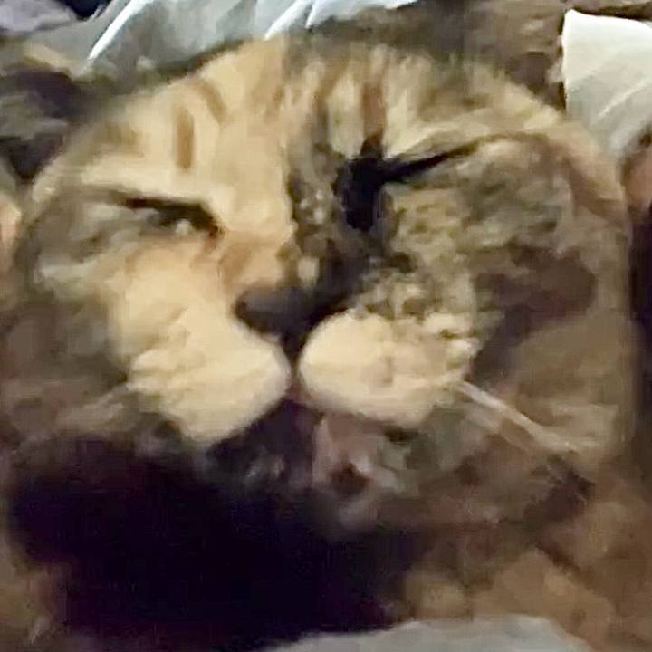 D369606c 056f 4270 98f7 b41ed8849690 1743129449030