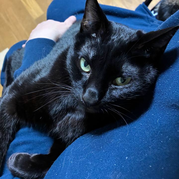 D3698afc ba1f 4a98 8e5d bee1ec79bae3 1764150514794