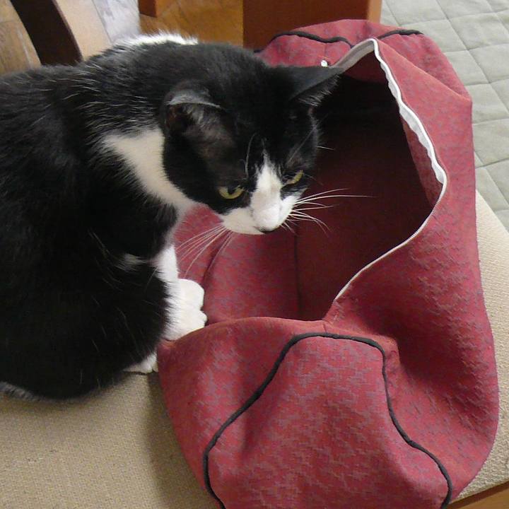 D369aabd 8ff8 4690 8b08 dbf806594442 1615876998881