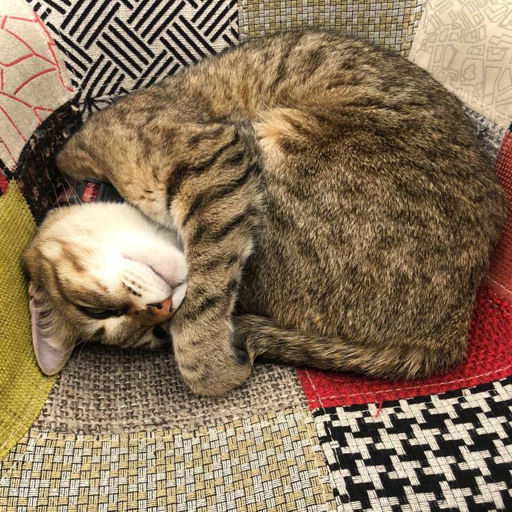 D369c495 4828 4cbe a264 484f377bac42 1646649493967