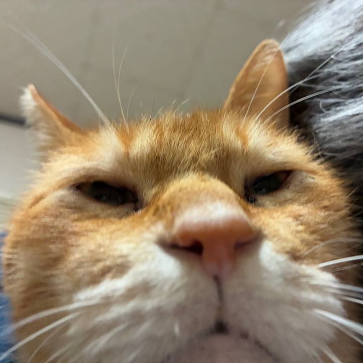 D369cfa7 1654 4d81 85c7 5e28bc4cf2eb 1764417996531