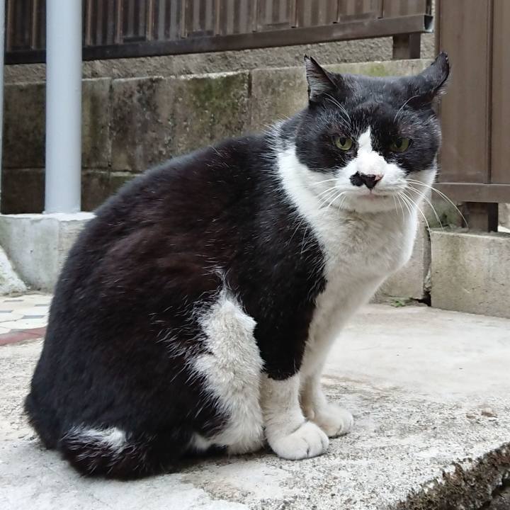 D369d1f0 5fe9 4a87 ade0 17d898dd232c 1643930204300