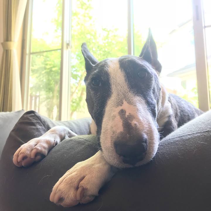 D369fc1e 1831 4102 afd2 176ae3aa2229 1527998339281