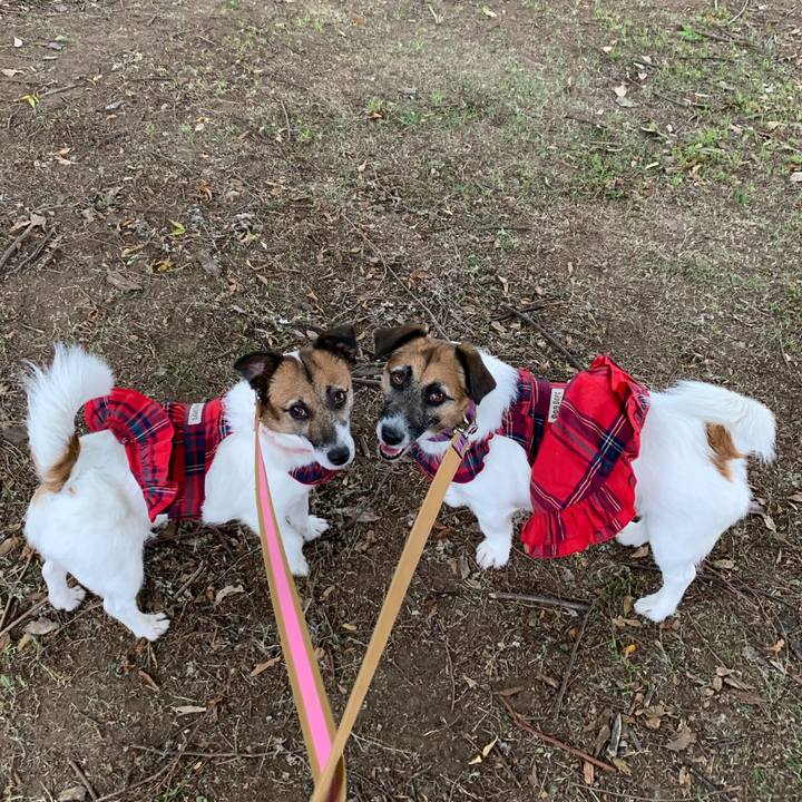 D36a0585 ddd1 43d1 bb77 28b22b226d76 1622373010965