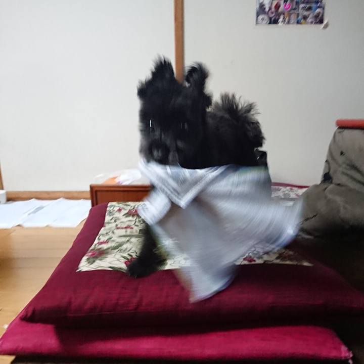 D36a2271 d957 4645 be71 043e68ac438e 1527415628308