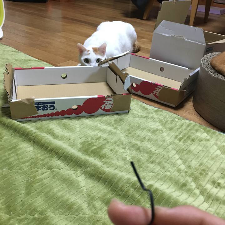 D36a259a e793 4fdc 92a5 560e6b1d3044 1552059206546