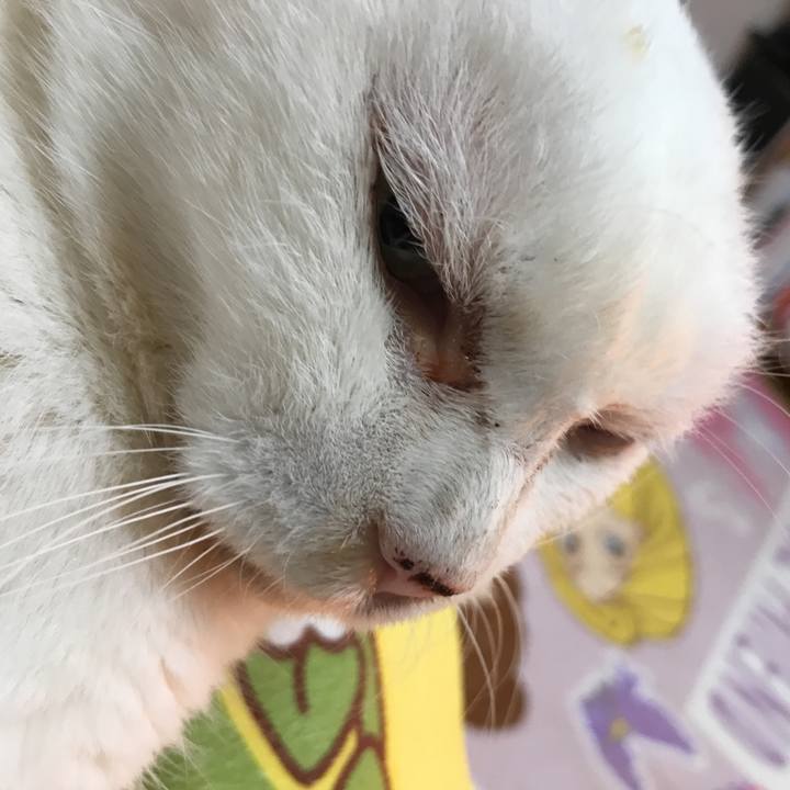 D36a381c 0c26 4b35 9836 198ad40ef65c 1522894571802