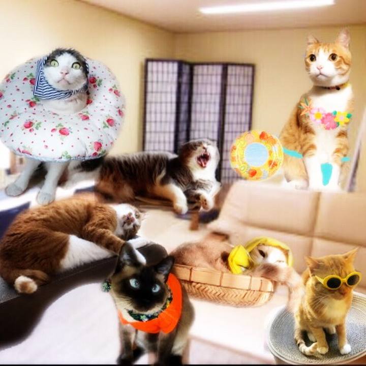 D36a5f56 7057 4d38 9ed2 557f461a0922 1568467773495