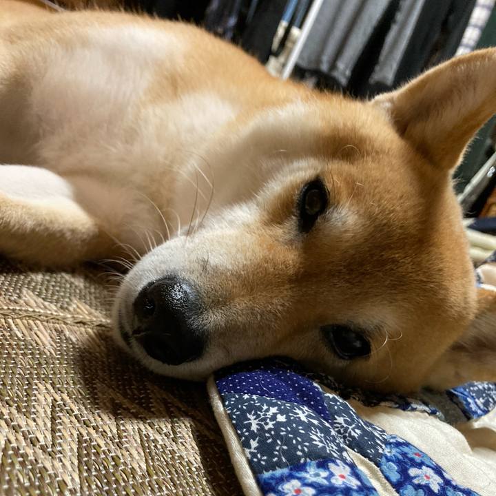 D36a8827 db30 4007 9ccf f532a3f46b3f 1669465153845