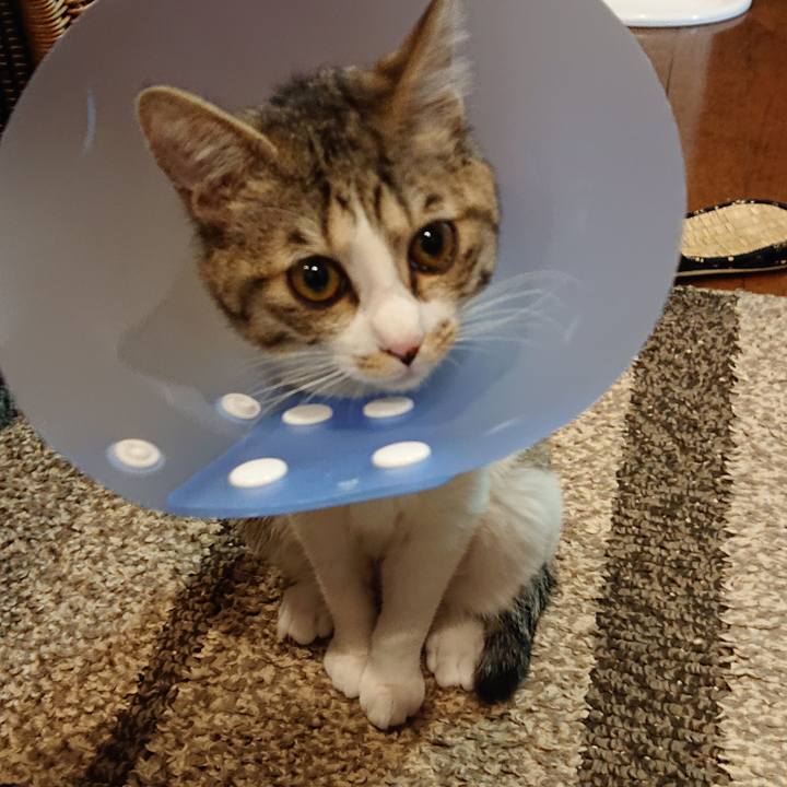 D36a9169 93d4 41e4 89ca a2e906b31258 1550532296423