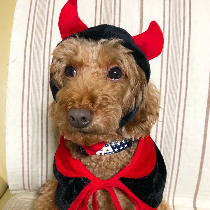 D36a997c 59ab 489d 8183 6d6c3c9d164c 1602396688511