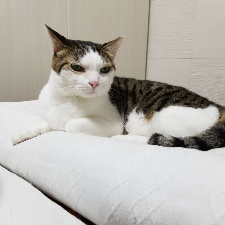 D36ac0db 3d65 413e 9657 517dedefbc09 1582753476585