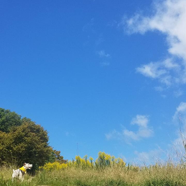 D36afb6b 9b0b 4da0 988b 129173c339c3 1571021518181