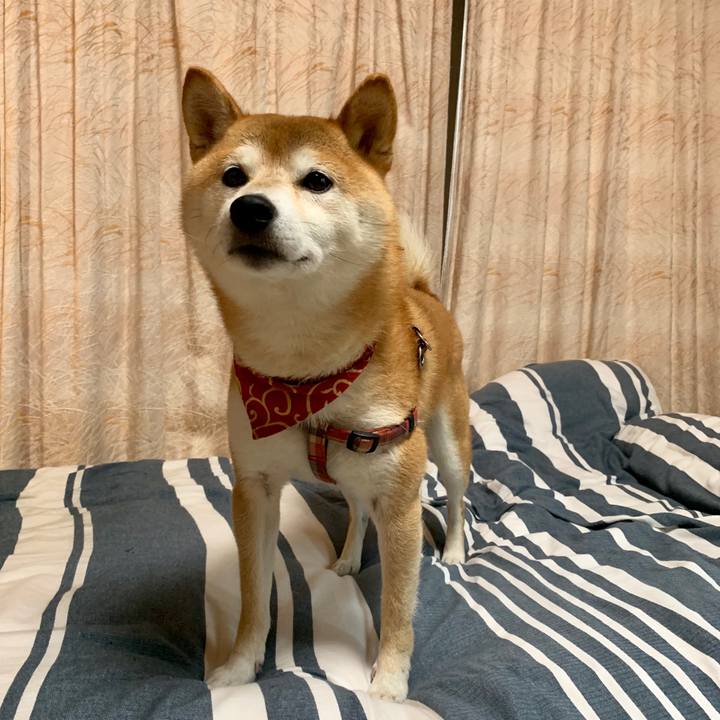 D36b3446 8c78 4d6f 9068 90d9fa97c3da 1570873898794