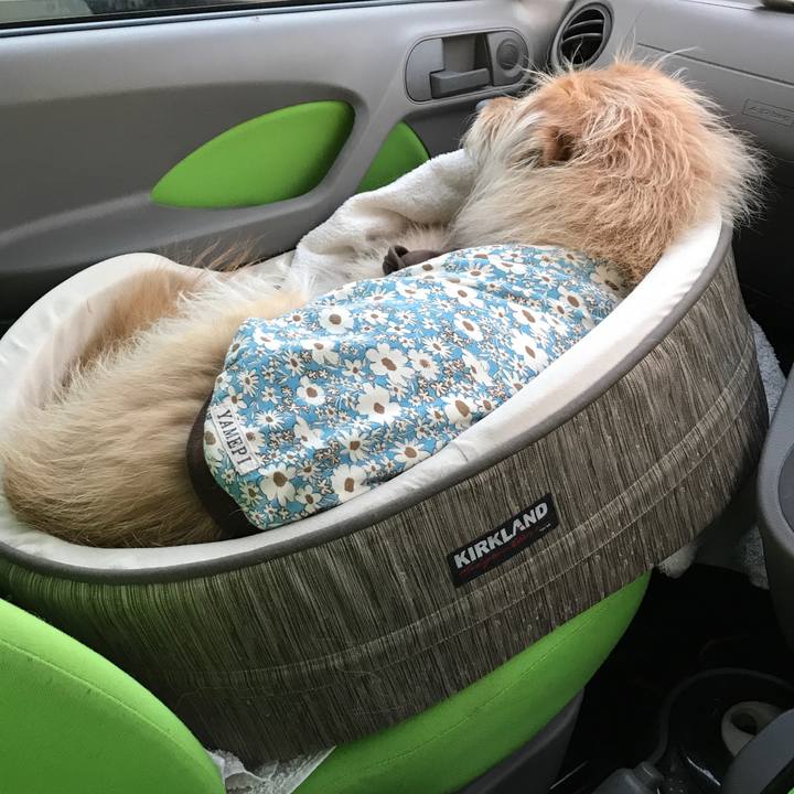 D36b3d61 4071 4dc9 b398 f5fcfc0d92ed 1552815410083