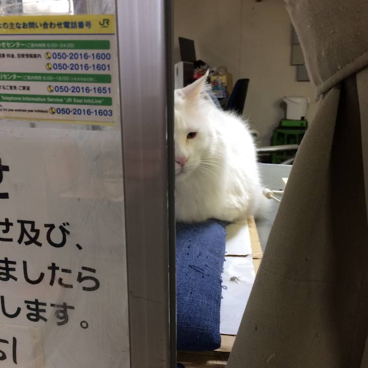 D36b7d24 eca0 414d 9844 18997b4805d5 1508970422035