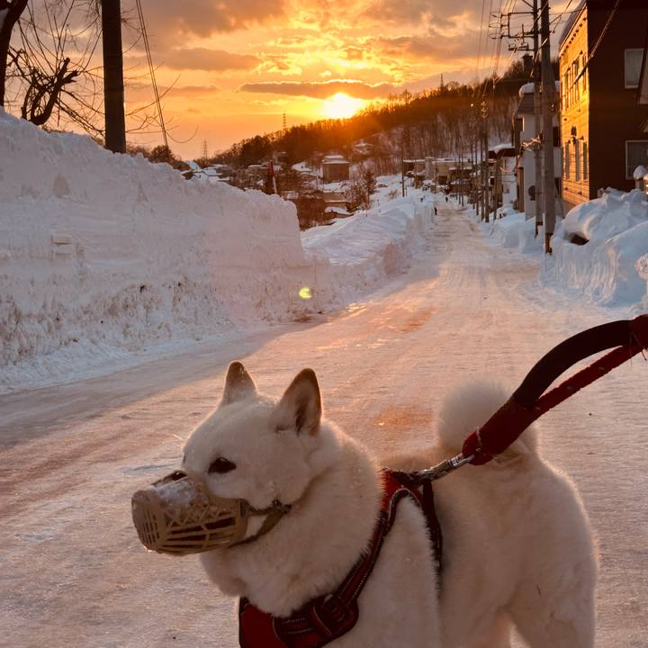 D36bd04e dc72 4a33 849c c8209e801abd 1770244304319