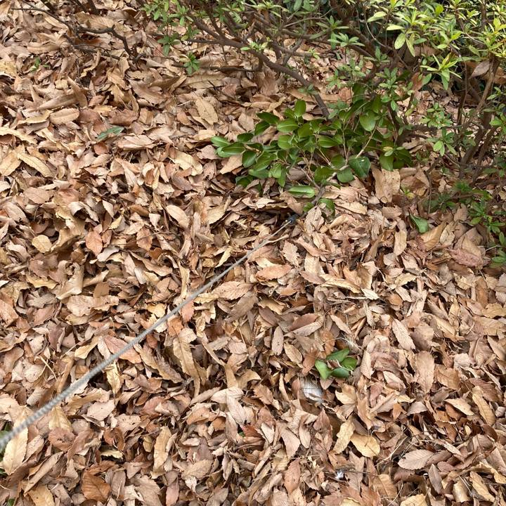 D36bdc49 30fe 4289 8dd5 89cc30a8d4f4 1646272258979